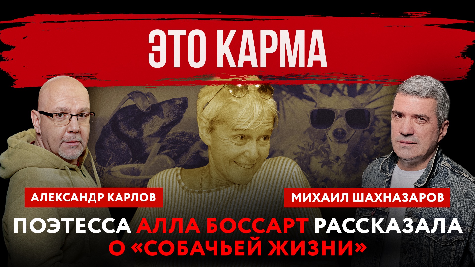 Это карма. Поэтесса Алла Боссарт рассказала о «собачьей жизни» | Михаил Шахназаров и Александр Карло