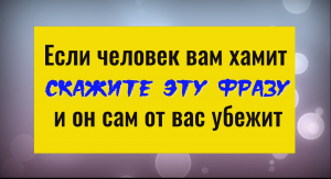 Как красиво поставить на место любого хама
