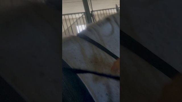 Расседлаем Куклу )))