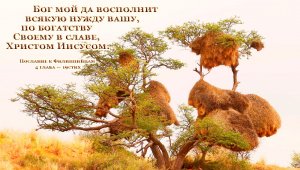 Господь не даёт поручения,если не приложит к нему ресурсы. Скиния. Ситтим. Шерсть. Покрывало. Золото