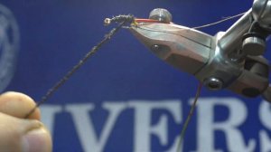 Мушки Сибири # Мушки Сибири для водоемов Севера.