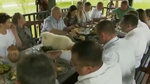 Лукашенко: Кому ещё картошки, Белорусской? Закон один - ничего не выбрасывайте. Собака на столе.