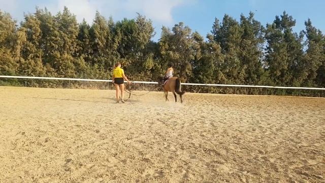 Я УЧУСЬ ВЕРХОВОЙ ЕЗДЕ НА ЛОШАДИ ЭТО МОЙ ПЯТЫЙ УРОК смотреть онлайн