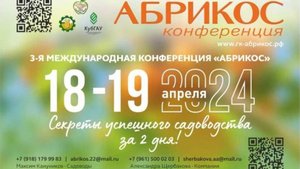 Итоги работы первого дня 3-ей Международной конференции «АБРИКОС» 2024