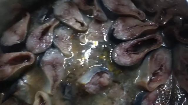 Соленая скумбрия, можно есть через 3 часа.