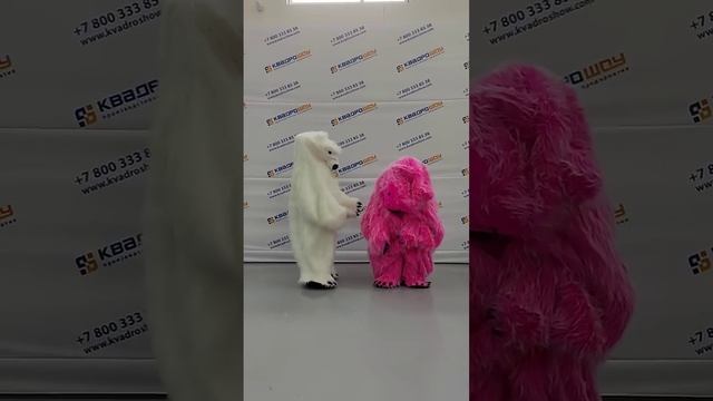 Как надеть костюм медведя ? Парни жгут! Часть1 #белыймедведь #розовыймедведь