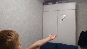 Полет птицы в замедленной съемке