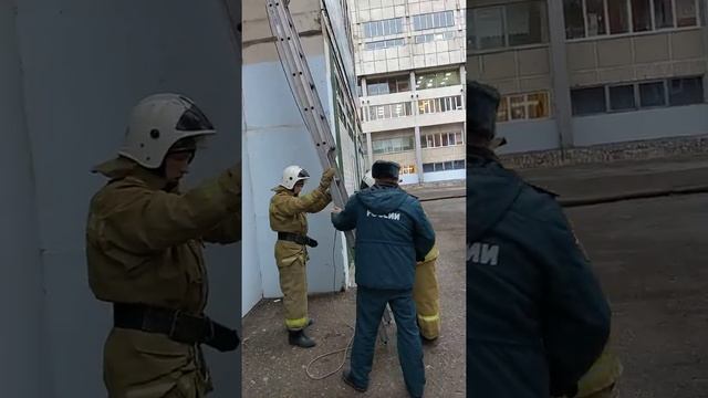 3х коленка 2 смотреть онлайн