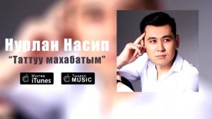 Нурлан Насип-татту махабатым