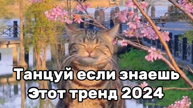 😍🌹Танцуй если знаешь этот тренд😇Тренды 2024года🌹😍