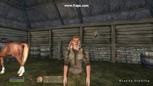 Oblivion Gamemode Persuasion mod