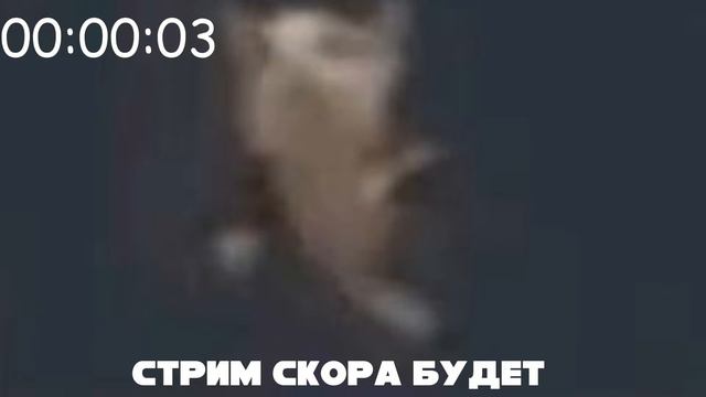 СТРИМ ПО ХОЛЛОУ КНАЙТУ! Вспоминаю, и начинаю заново! Hollow Knight/Полый Рыцарь