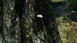 Skyrim Mod #3 Lush Trees and Grass Mod  (UNP)