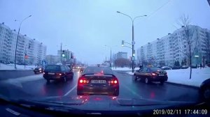 Рено сбило собаку.