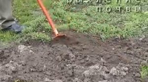 плоскорез культиватор Стриж  Рыхление почвы