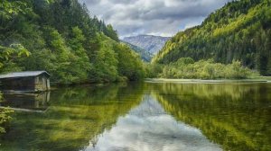 Родители недовольны моим мужем Истории из жизни Жизненные истории