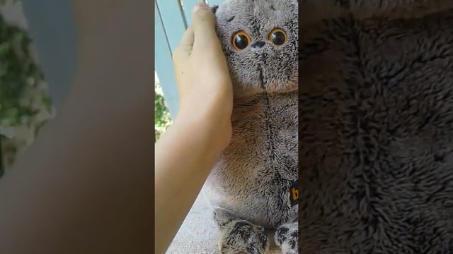 Новости канала Basik and me/где мы?/когда день рождение Басика? смотреть онлайн