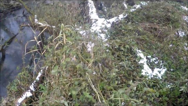 VLOG : 24 часа в лесу / Прощание с Алисой / смотреть онлайн