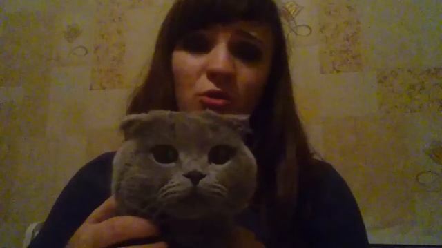 НАДО ЛИ КАСТРИРОВАТЬ ВИСЛОУХИХ? смотреть онлайн