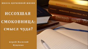 Иссохшая смоковница_ смысл чуда_.mp4