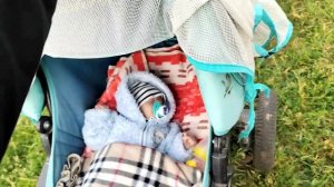 прогулка с реборном в лесу?✨|