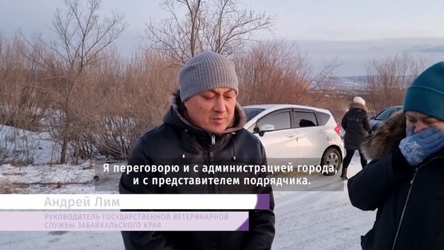 Зоозащитники атаковали приют для собак в поисках своих питомцев
