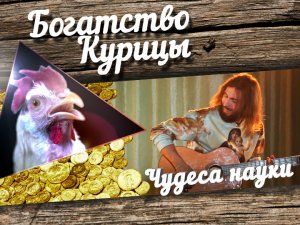 Богатство Курицы: Чудеса науки. Как экономить мыло