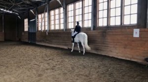 Первые соревнования выездка шаг-рысь