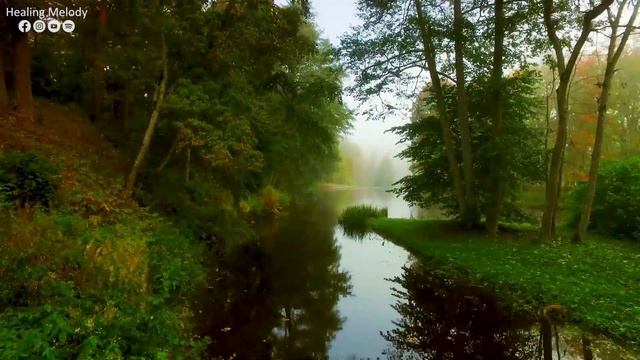 La Música Relaja El Sistema Nervioso, Mejora La Memoria 🌿 La Música Suave Calma El Sistema Nervioso