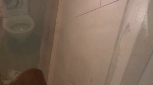 Нанесение декоративной перламутровой краски и не только. (Левобережный)