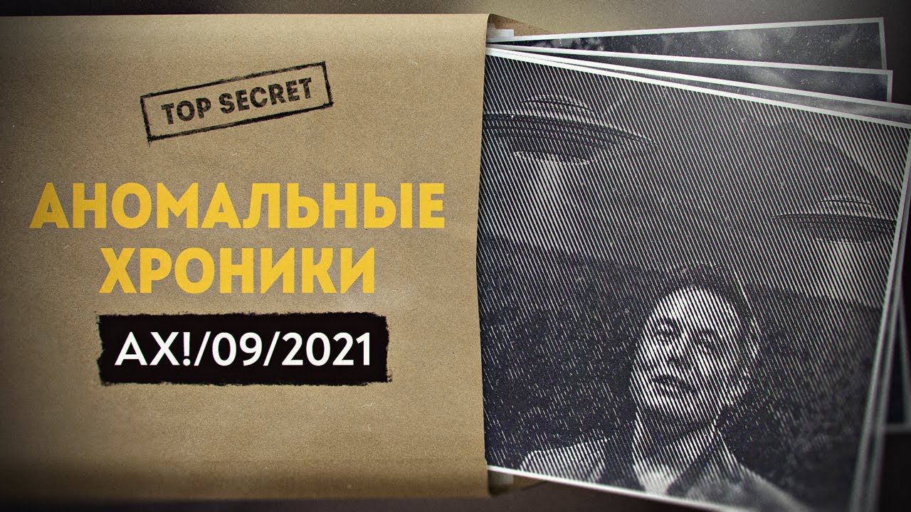 «Я не говорю, что НЛО существуют… но НЛО существуют». Илон Маск