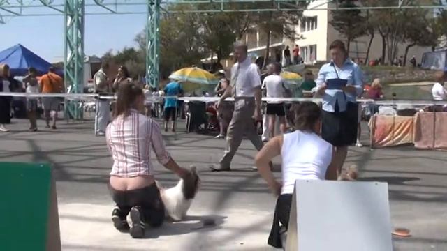 20120505125811.mpg смотреть онлайн