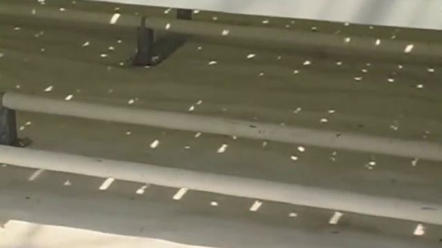 Что такое гидропоника