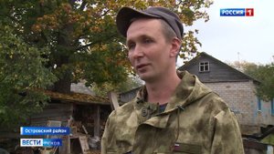 В Островском районе стая волков нападает на домашних животных 12.10.2020