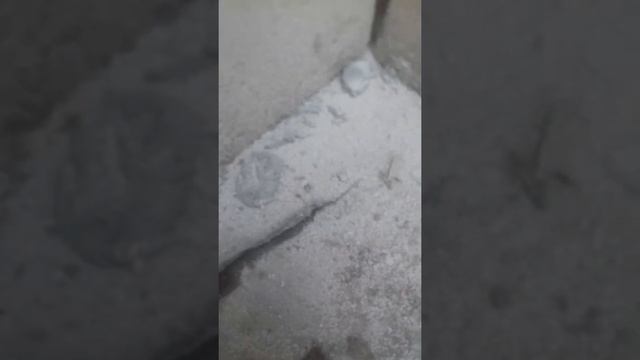 постройка гаража  кладка газоблок