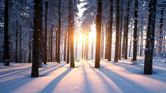 АСМР Скрип снега под ногами | хруст снега | ASMR смотреть онлайн