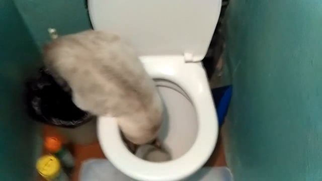 Как приучить кота к туалету смотреть онлайн