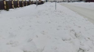 в деревне я да собаки