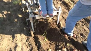 Картофелекопалка своими руками без грохота