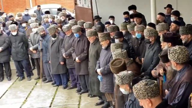 Таьзет Пошева Хасана (тешал деж) смотреть онлайн