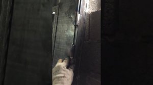 Изготовление металической двери со стеклом своими руками