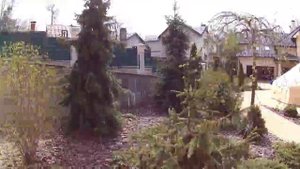 Услуги садовников.Опять кот. Зеленка. Уходные дела.
