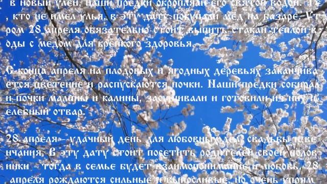 28 апреля народный праздник Пудов День. Приметы 28 апреля. Народные традиции и приметы. ВАСИЛИSА