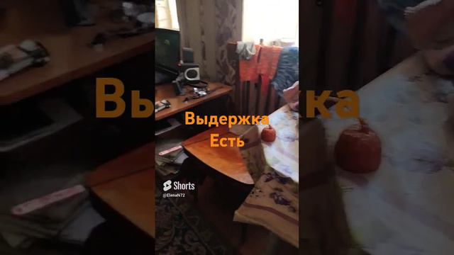 Выдержка у Шельки есть.