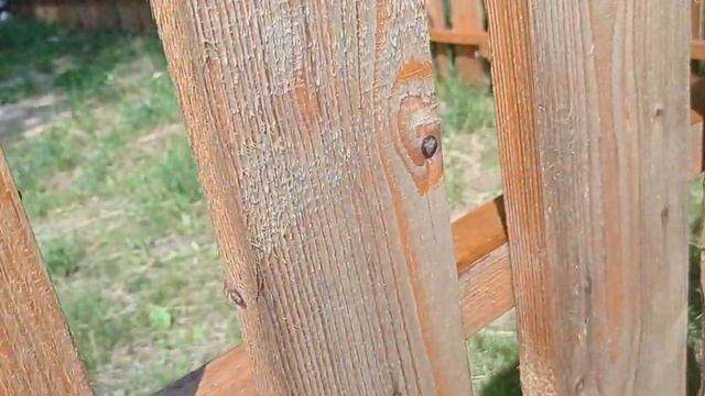 Чем покрасить деревянный штакетник чтобы не гнил? Обработка деревянного забора Быстро и дешево смотреть онлайн