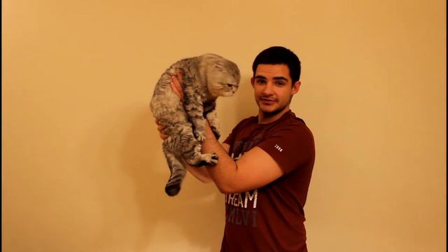 ВК закрыли #КрикВСети смотреть онлайн