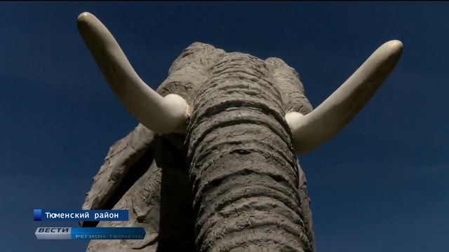 Слон поселился в Тюменском районе смотреть онлайн