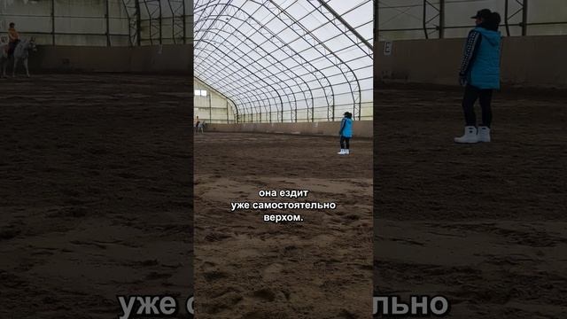 Начало тренировки после разминки лошади на корде