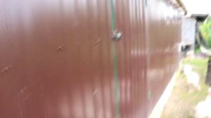 Утки - Муларды. Содержание. Весь цикл жизни.