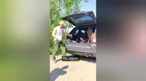 Как научить собаку запрыгивать в машину | Радик Аксанов